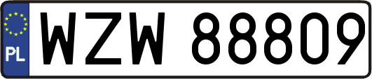 WZW88809