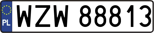 WZW88813