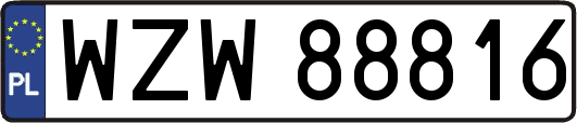 WZW88816