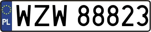 WZW88823