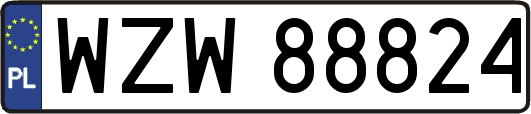 WZW88824