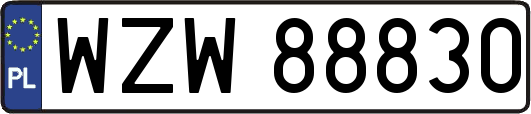 WZW88830