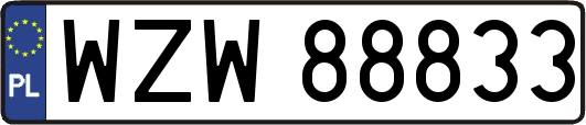WZW88833