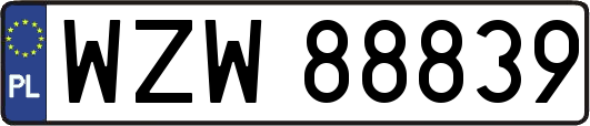 WZW88839