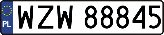 WZW88845