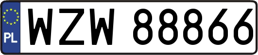 WZW88866
