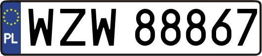 WZW88867