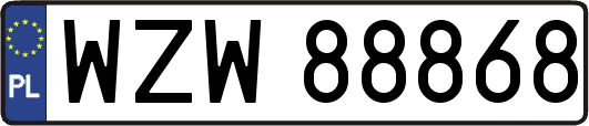 WZW88868