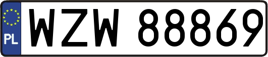 WZW88869