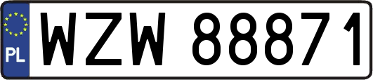 WZW88871
