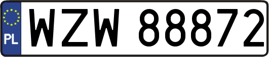WZW88872