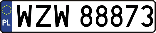 WZW88873