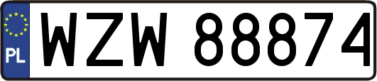 WZW88874