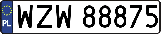 WZW88875