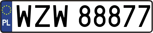 WZW88877