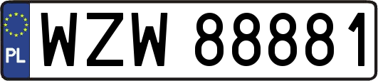 WZW88881