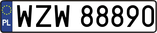WZW88890