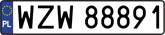 WZW88891