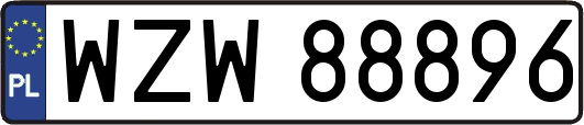 WZW88896
