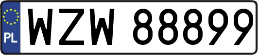 WZW88899