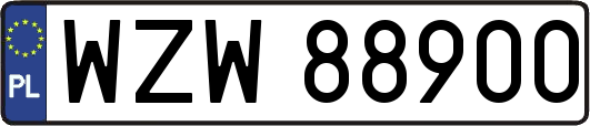 WZW88900
