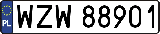 WZW88901