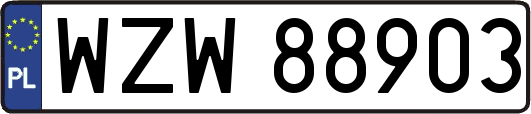 WZW88903
