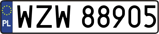 WZW88905
