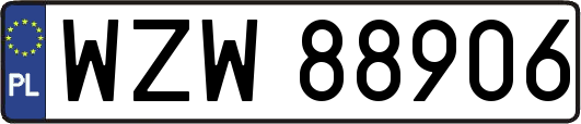 WZW88906