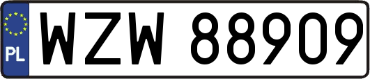 WZW88909