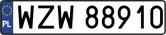 WZW88910