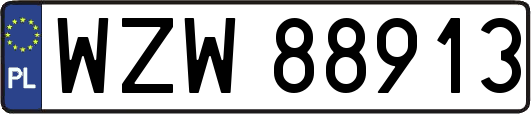 WZW88913