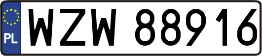 WZW88916