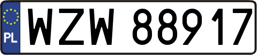 WZW88917