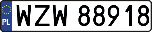 WZW88918