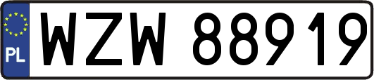 WZW88919
