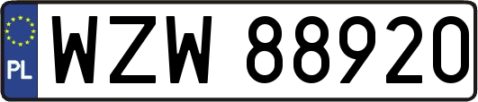 WZW88920