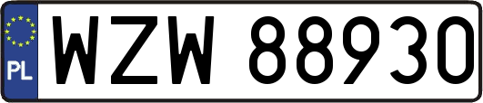WZW88930