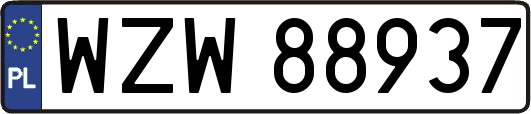 WZW88937