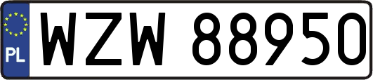 WZW88950