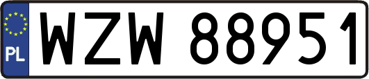WZW88951