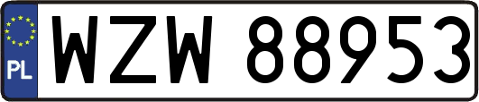 WZW88953