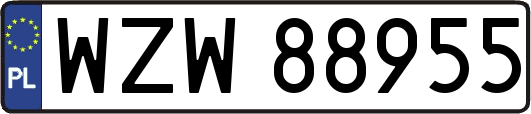 WZW88955