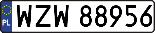 WZW88956