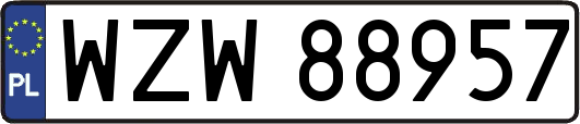 WZW88957