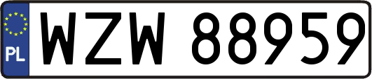 WZW88959