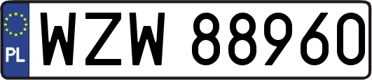 WZW88960