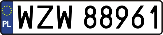WZW88961