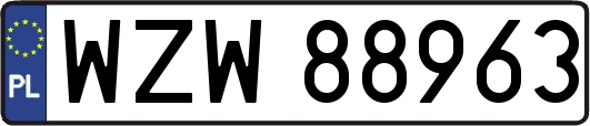 WZW88963