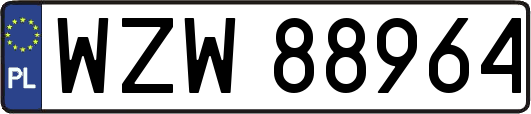 WZW88964
